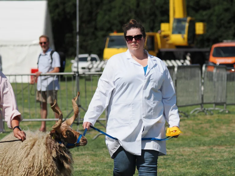 Usk Show 2025