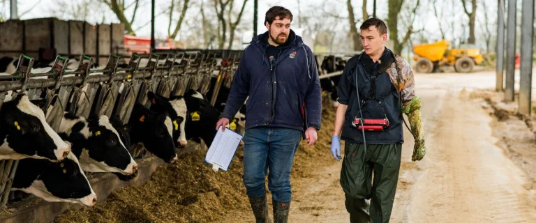 Mastering Medicines Dairy - Welsh Edition!