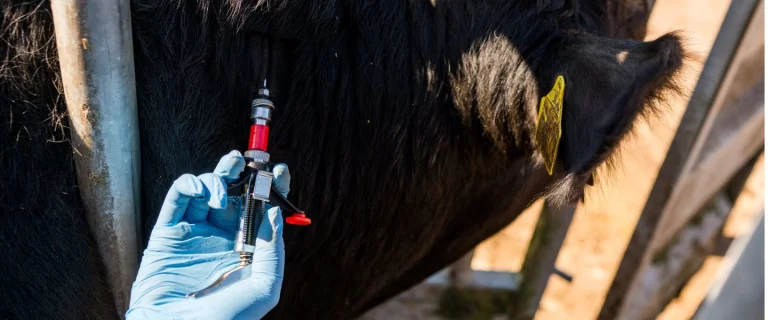 Changes to Bluetongue Control Policy