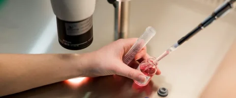 Lab worker using a pipette next to a microscope
