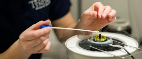 Looking at semen straws