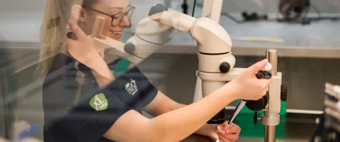 New Bovine Semen Collection Service