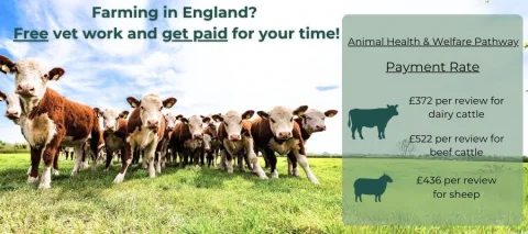 Animal Health & Welfare graphic showing prices